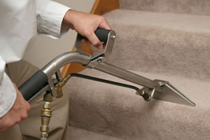 Carpet Cleaners Denver 4